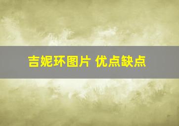 吉妮环图片 优点缺点